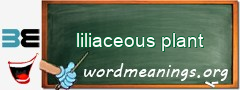 WordMeaning blackboard for liliaceous plant